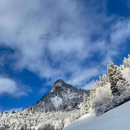 Apartment 2 Personnes A Torgon