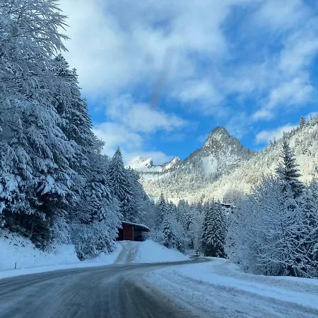 Apartment 2 Personnes A Torgon *