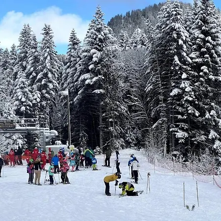 Apartment 2 Personnes A Torgon