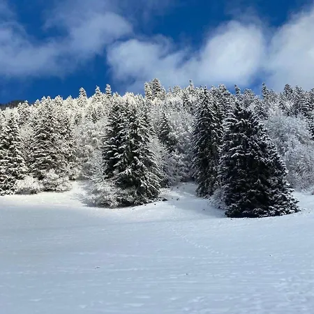 Apartment 2 Personnes A Torgon