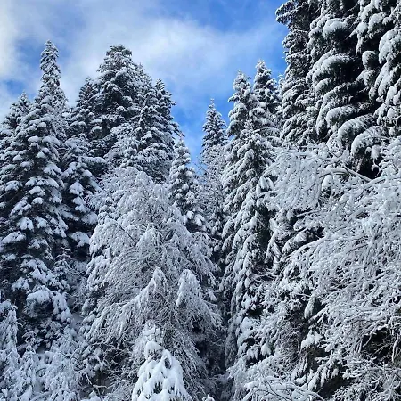 Apartment 2 Personnes A Torgon *