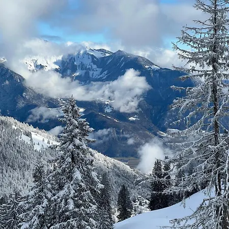 2 Personnes A Torgon Vionnaz