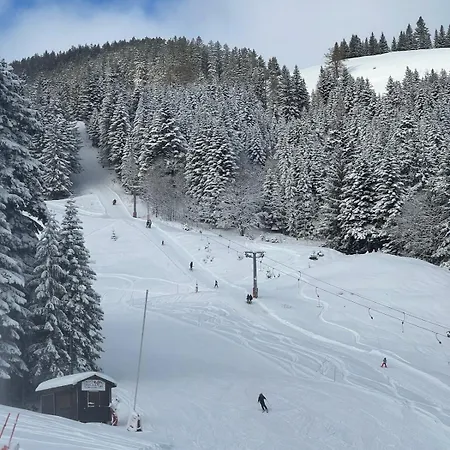 Apartment 2 Personnes A Torgon