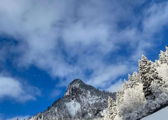 Appartamento 2 Personnes à Torgon