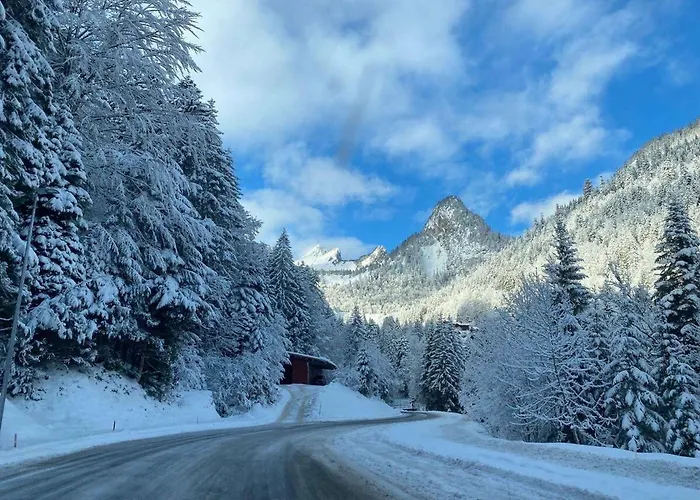 Appartamento 2 Personnes à Torgon *