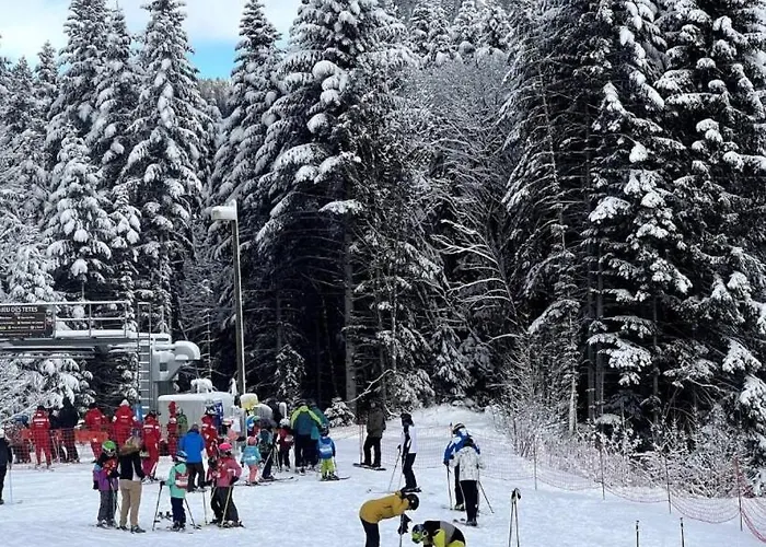 Appartamento 2 Personnes à Torgon