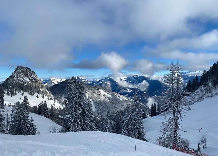 2 Personnes à Torgon *