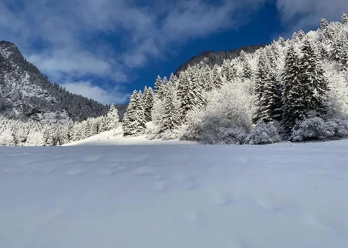 Appartamento 2 Personnes à Torgon *