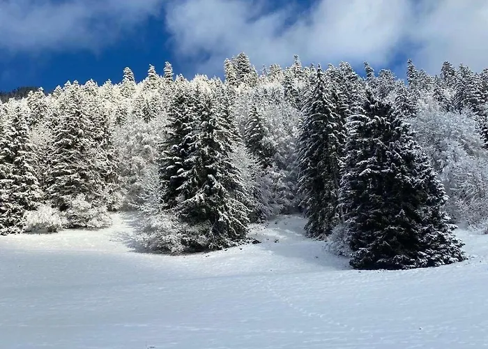 Appartamento 2 Personnes à Torgon