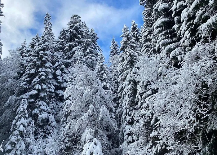 Appartamento 2 Personnes à Torgon *
