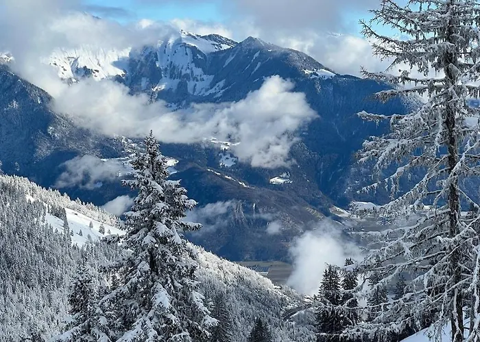 2 Personnes à Torgon Vionnaz