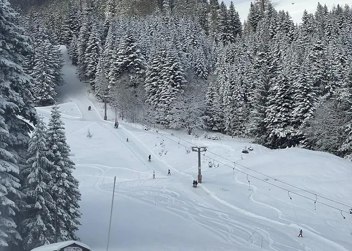 Appartamento 2 Personnes à Torgon